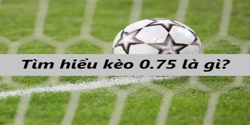 Tìm hiểu kèo tài xỉu 0.75 là gì?