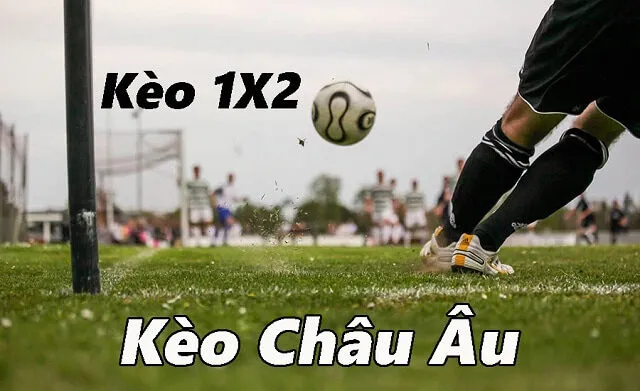 Cách chơi kèo châu âu hiệu quả